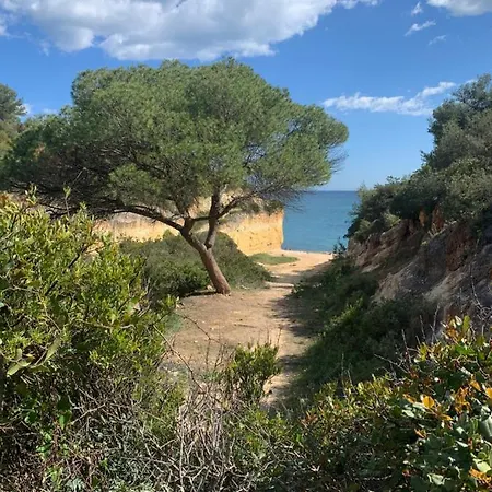 Linda Vista Mar T1, A-c, Wi-fi, Apartment Porches (Algarve)